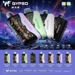 微信图片_20260722225230_9110_278 GYPSO滿天星拋棄式🪄30000口🔋王嘉爾同款bubblemon炫彩【1隻=5隻哩亞四代拋抛棄式】CP值高